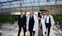 

President visited Green Food greenhouse farm
