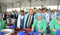 President Sarkissian visited a number of enterprises in Syunik: Syunik marz has a great potential for development